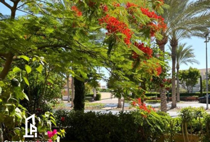 8367833 - صورة العقار 2