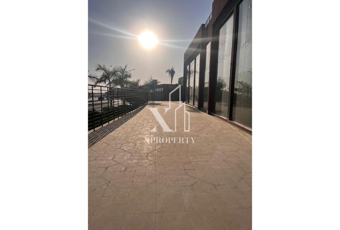 7982314 - Property Image 2