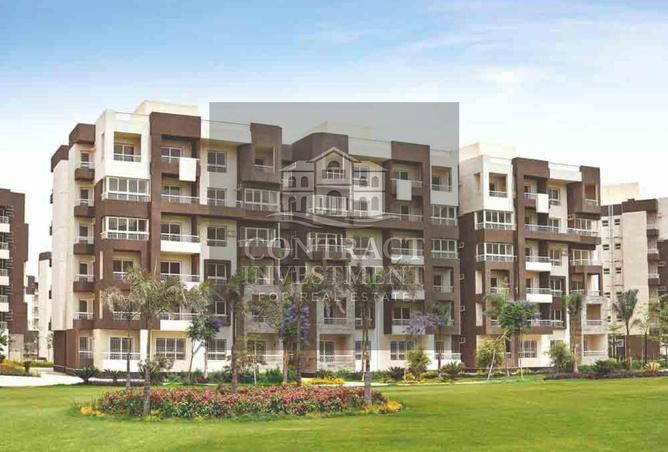 8036435 - صورة العقار 3