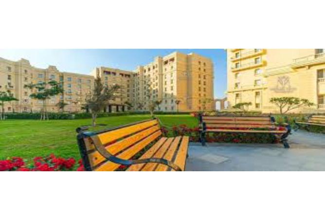 7996083 - صورة العقار 3