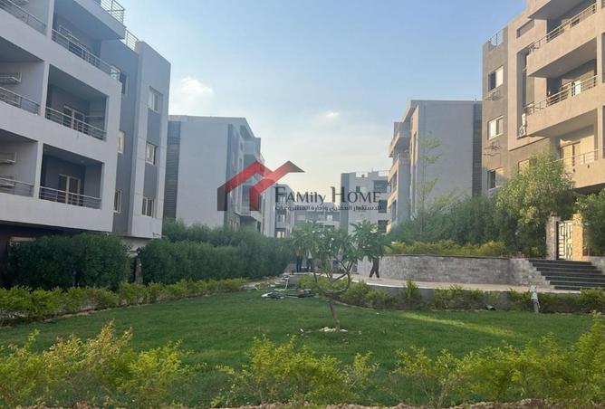 8062414 - Property Image 3