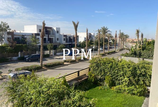 8366359 - Property Image 3