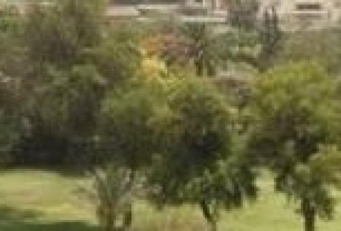 8404885 - Property Image 2