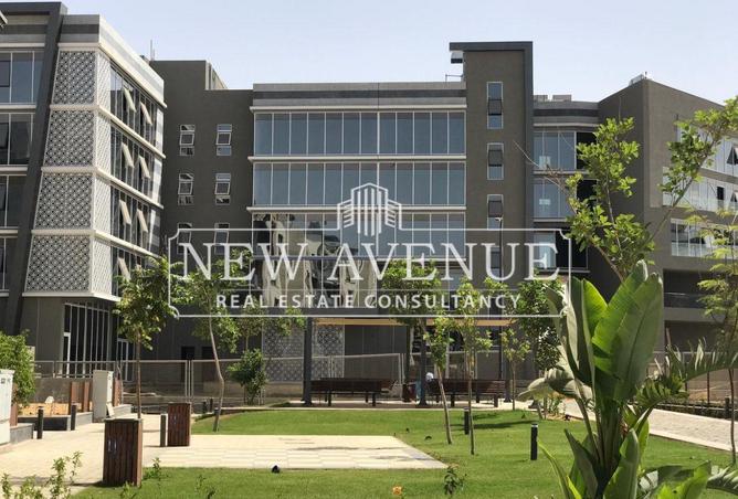 8315545 - Property Image 3