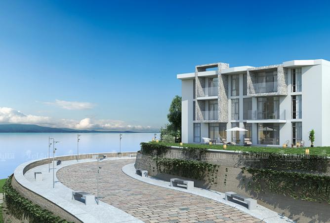 8451024 - Property Image 3