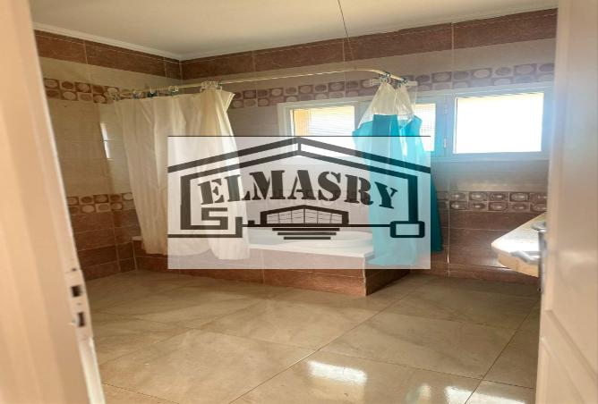 7974385 - Property Image 2