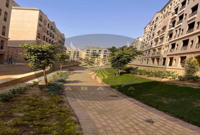 7994787 - صورة العقار 2