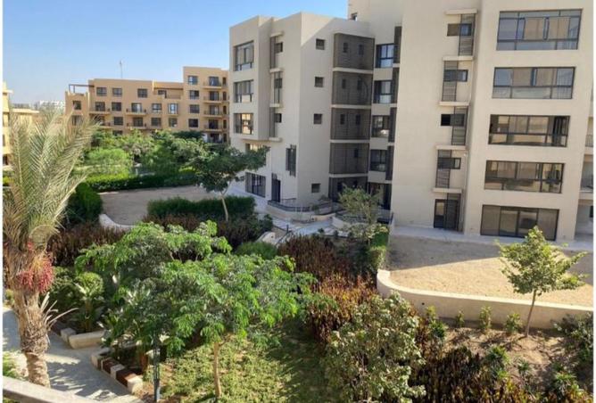 8293984 - Property Image 3