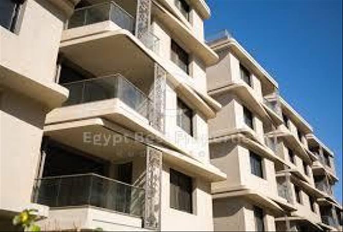 7971428 - Property Image 3