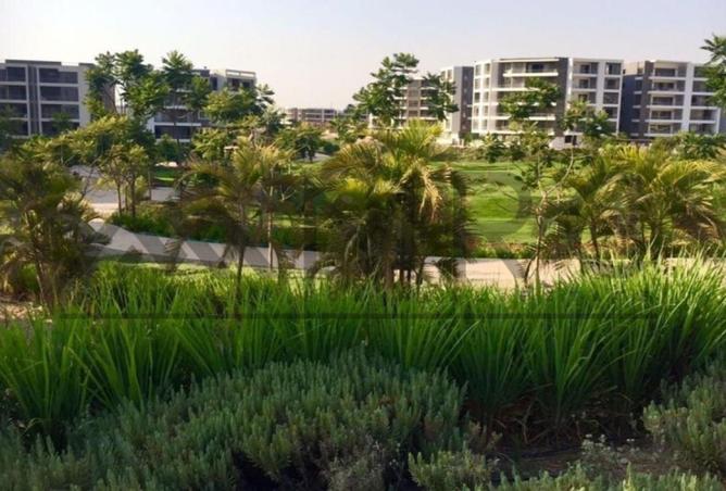 7946461 - صورة العقار 2