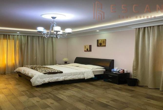 8183895 - Property Image 2