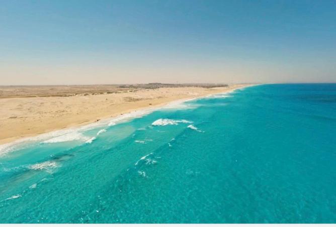 8300686 - Property Image 3