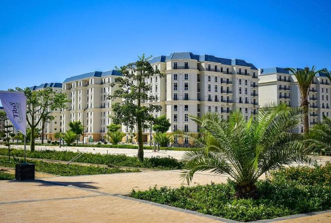 8542279 - Property Image 3