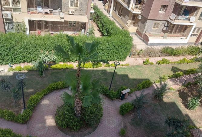 8136534 - صورة العقار 3