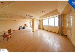 Apartment - 5 bedrooms - 5 bathrooms for للبيع in Kasr Al Safa St. - Zezenia - Hay Sharq - Alexandria