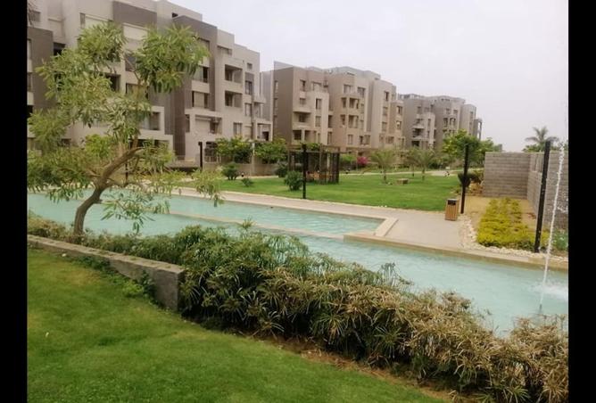8137953 - صورة العقار 3