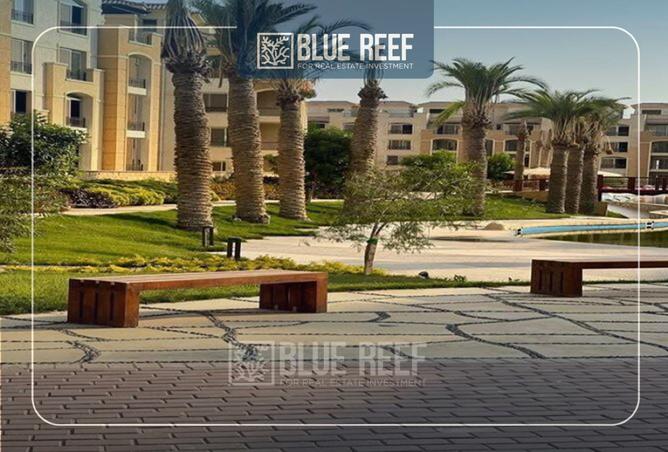 8258278 - Property Image 2