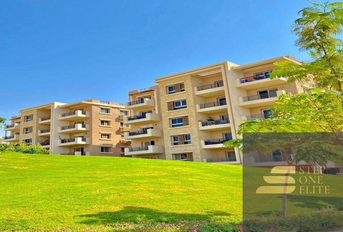 7935201 - Property Image 2