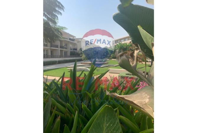 8291453 - صورة العقار 2