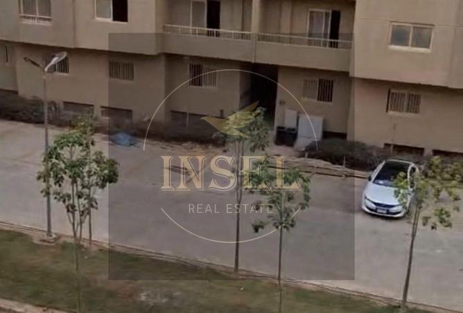 8429380 - Property Image 3