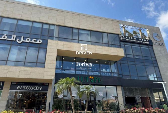 8204503 - Property Image 2