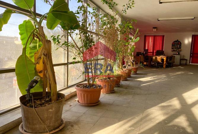 8348249 - صورة العقار 3