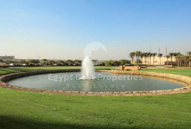 8078320 - Property Image 3