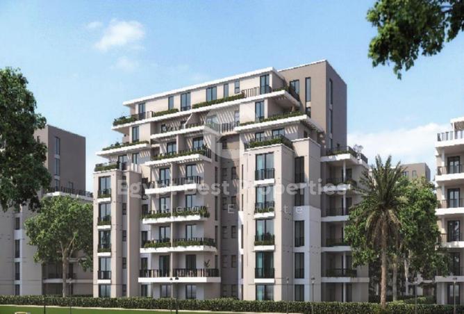 8247250 - Property Image 3