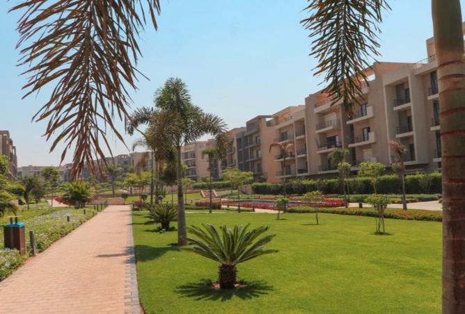 8371819 - Property Image 3