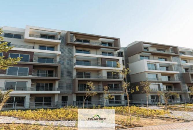 8089387 - Property Image 3
