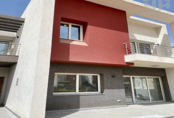 8392689 - Property Image 3