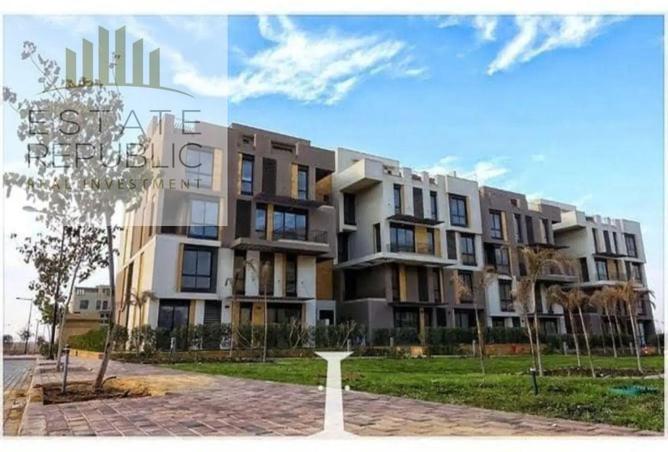 8395372 - Property Image 3