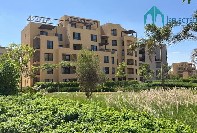 8051690 - Property Image 3