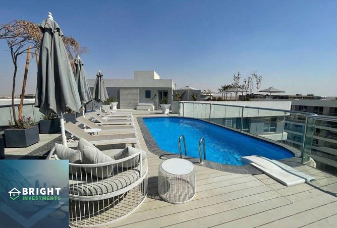 8077217 - Property Image 3