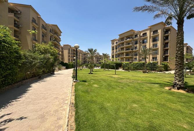 7986429 - صورة العقار 2