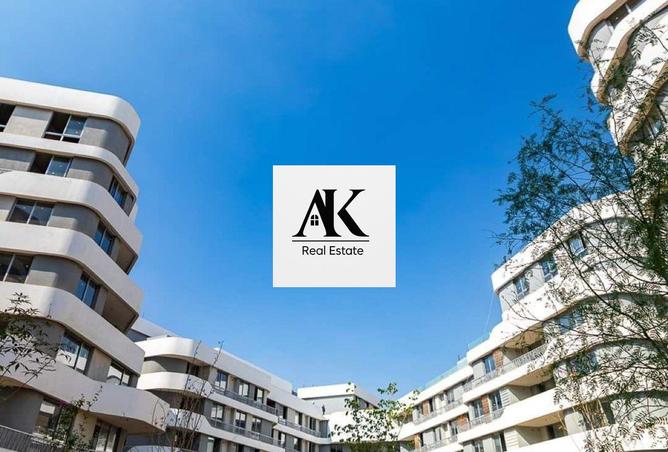 8126099 - Property Image 3
