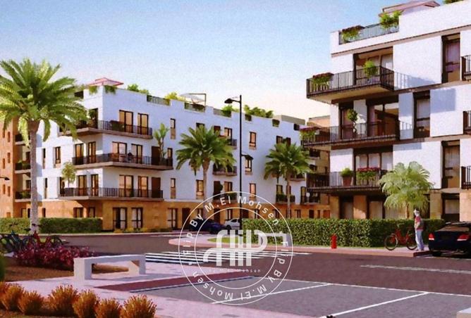 8292598 - Property Image 2