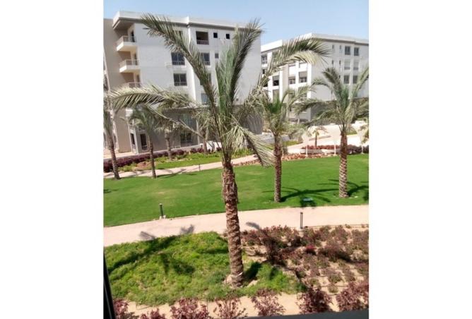 8295425 - صورة العقار 2