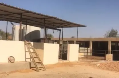 مزرعة - استوديو للبيع في الريف الاووبي - طريق مصر اسكندرية الصحراوي - مدينة 6 أكتوبر - الجيزة