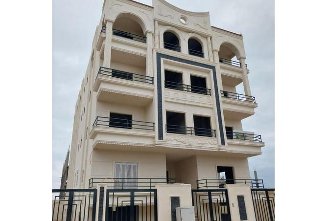 8097431 - Property Image 2