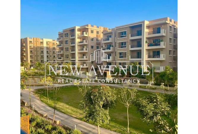 8129101 - Property Image 3