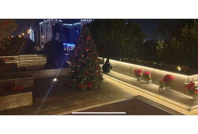 8232147 - Property Image 3