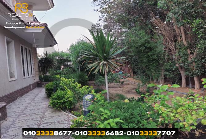 7986851 - الصورة الرئيسية للعقار