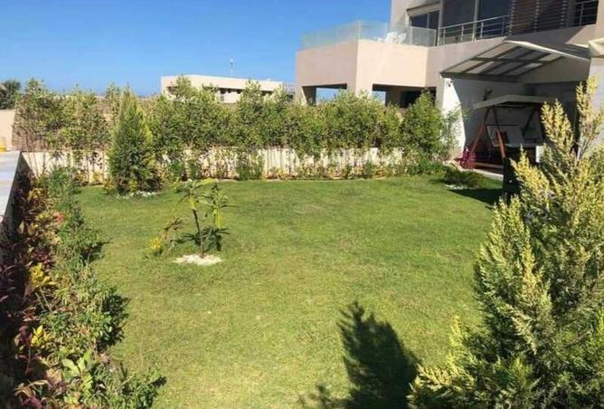 8367630 - صورة العقار 3