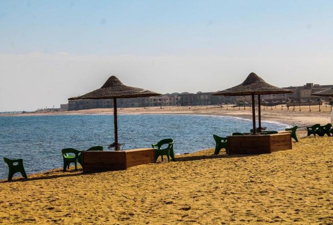 7893392 - صورة العقار 2