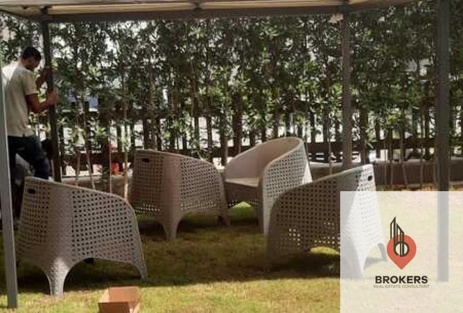 8432857 - Property Image 3