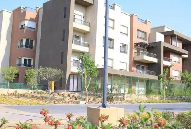 8465366 - صورة العقار 3