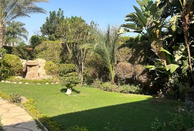 8147971 - صورة العقار 3