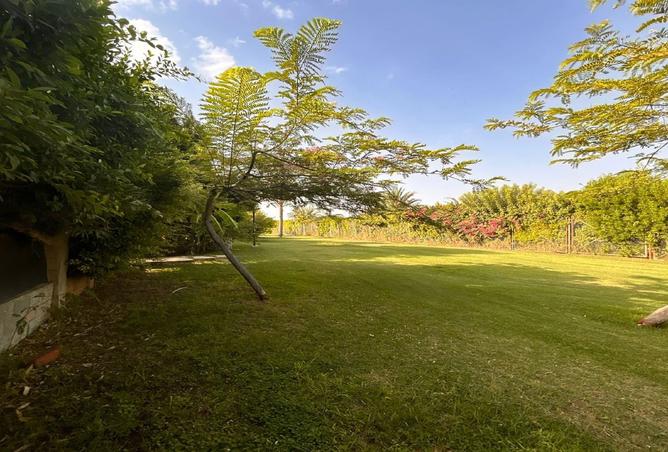 8547302 - صورة العقار 2