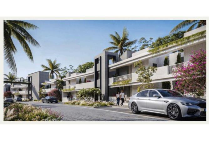 8110155 - Property Image 3
